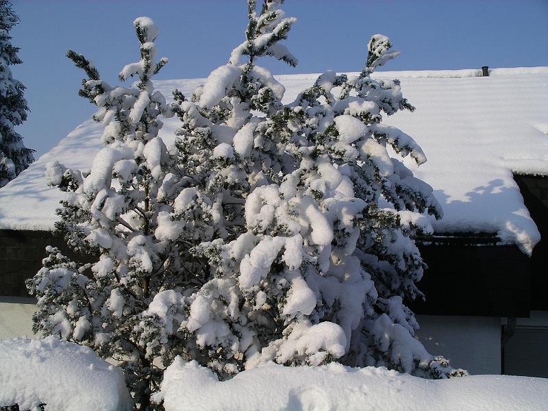 Winter 48.jpg